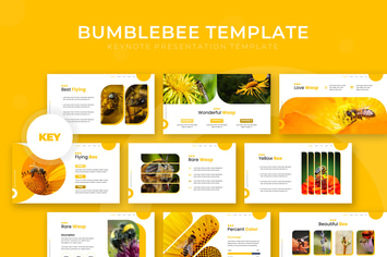 Bumblebee - Keynote Template