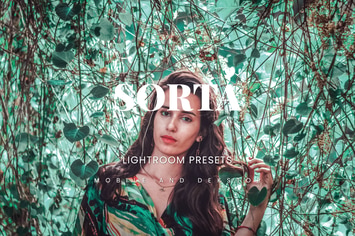 Sorta Lightroom Presets Dekstop and Mobile