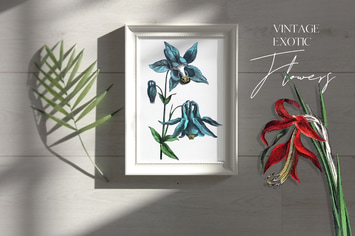 Vintage exotic flowers - botanical set
