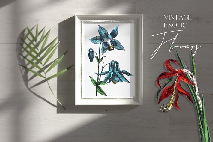 Vintage exotic flowers - botanical set