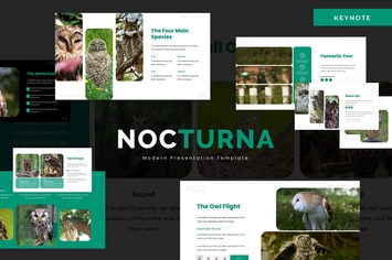 Nocturna - Keynote Template