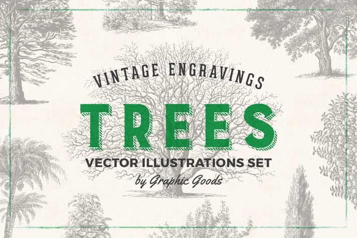 Trees – Vintage Engraving Illustration Set