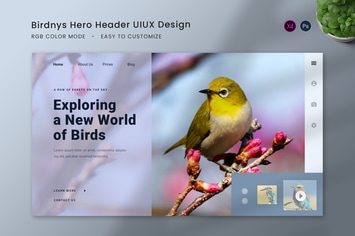 Birdnys Hero Header