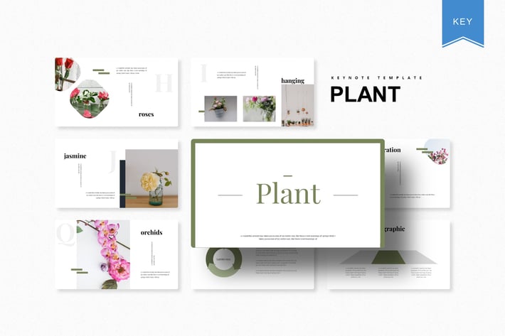 Plant | Keynote Template