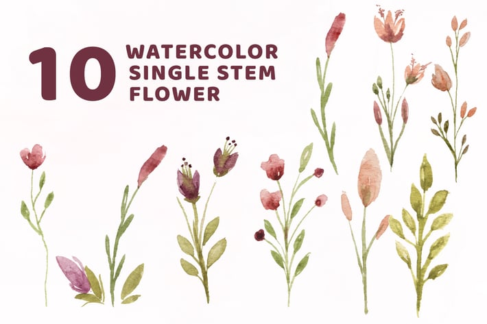9 Watercolor Single Stem Flower Illustration