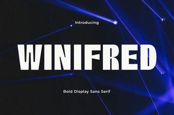 Winifred - Bold Sans Serif Display