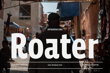 Roater Display Sans Font