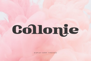 Collonie