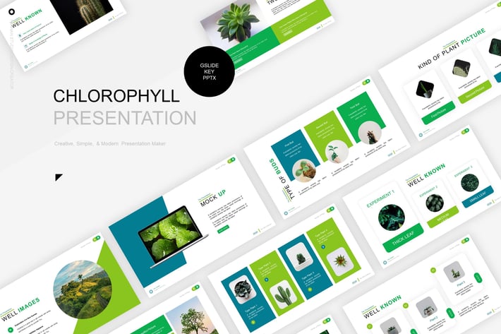 Chlorophyll Presentation Template