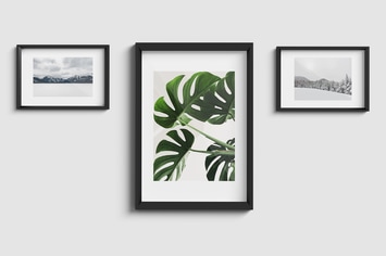 Minimalist Frame Mockup