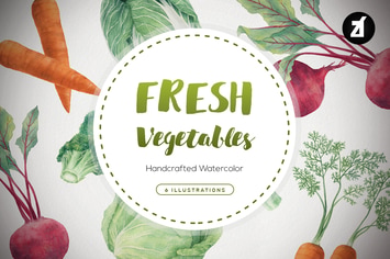 Fresh vegetables handdraw watercolor illustrations