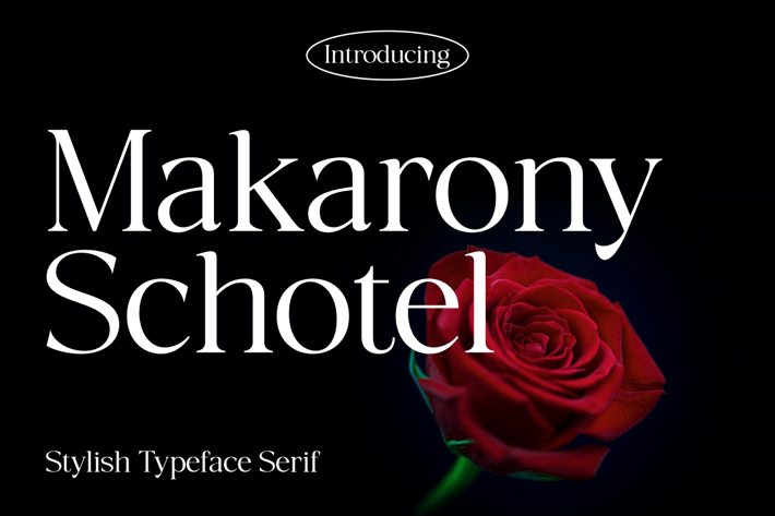 Makarony Schotel