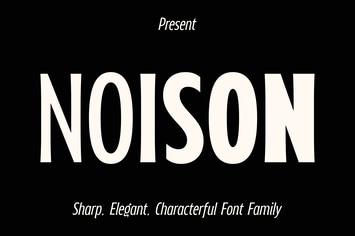 Noison Font Family