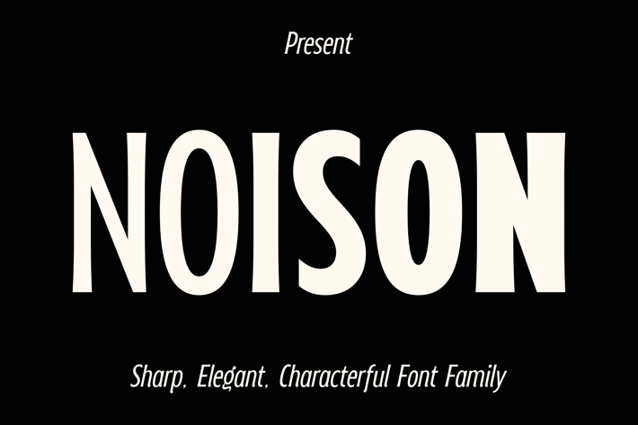Noison Font Family