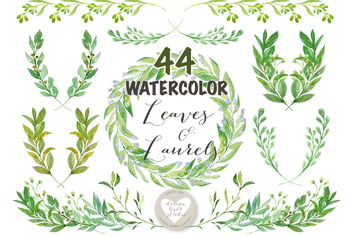 Watercolor Leaves, Laurel and Wreath clip art