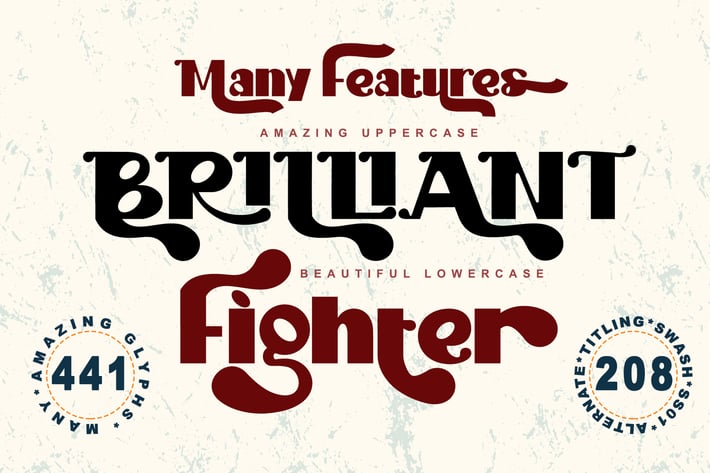 Brilliant Fighter