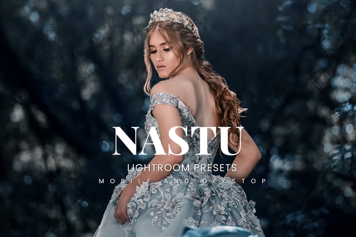 Nastu Lightroom Presets Dekstop and Mobile