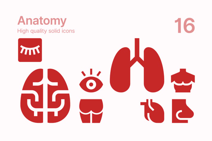 Anatomy Icons