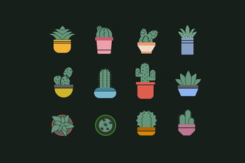 12 Succulent Icons