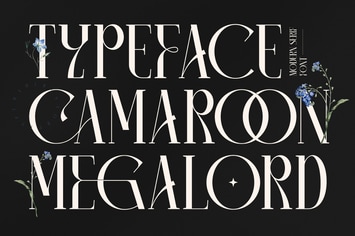 Camaroon Megalord Serif Font