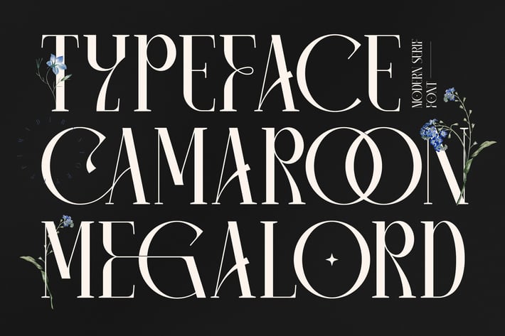 Camaroon Megalord Serif Font