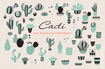 Cacti