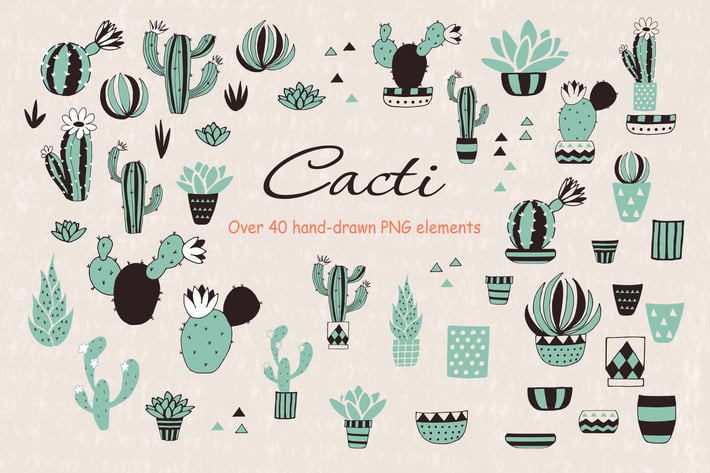 Cacti