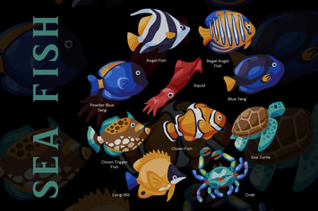 Sea Fish