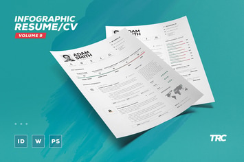 Infographic Resume/Cv Volume 9