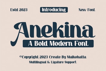 Anekina - Bold Modern Font