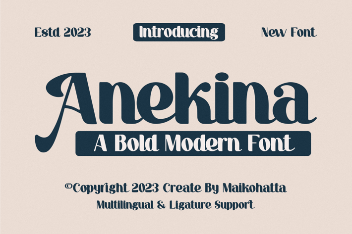 Anekina - Bold Modern Font