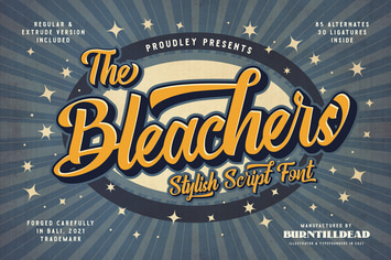 The Bleachers
