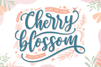 Cherry Blossom