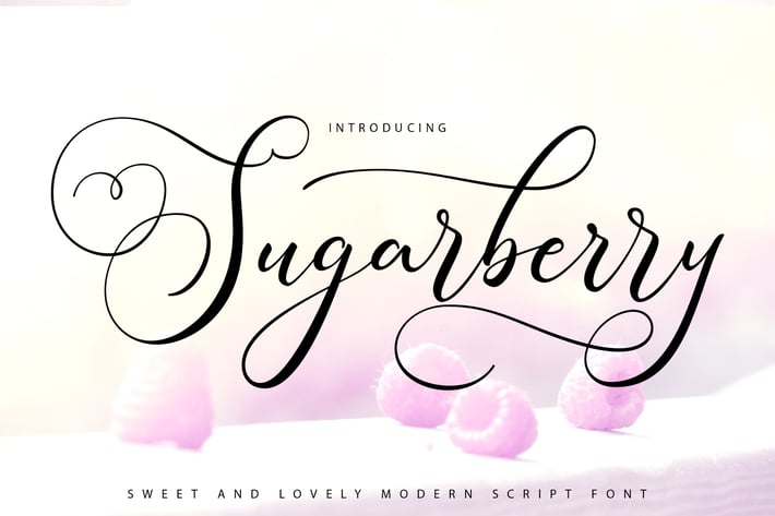 Sugarberry | Modern Script Font