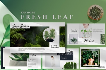 Minimal Fresh Leaf - Nature Keynote Template