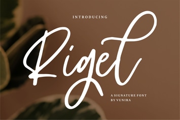 Rigel | A Signature Font