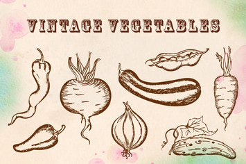 Vintage Vegetables
