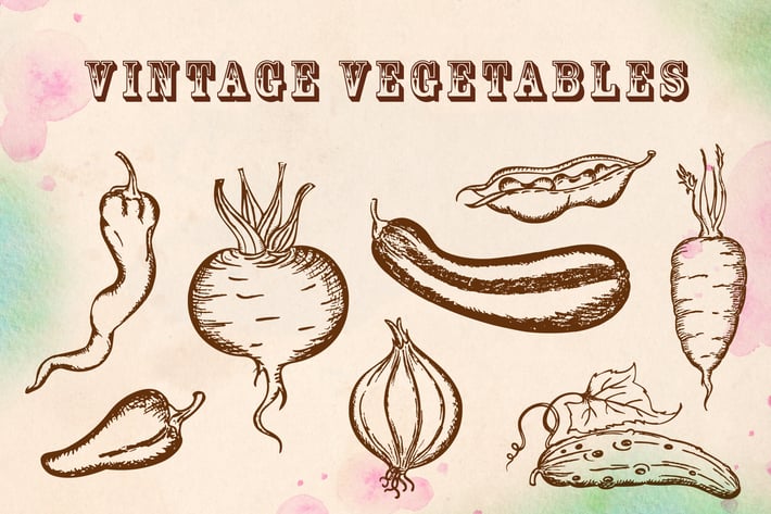 Vintage Vegetables