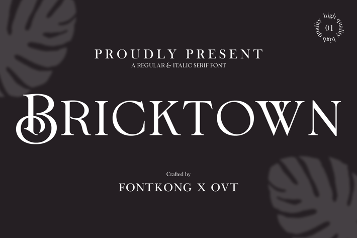 Bricktown - Regular & Italic Serif Font
