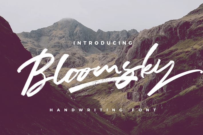 Bloomsky - Signature Logotype Brush