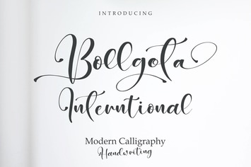 Bollgota