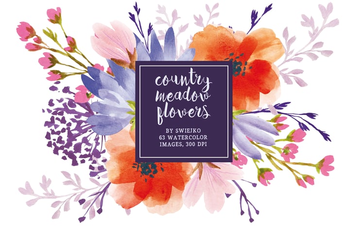 Country Meadow Flowers