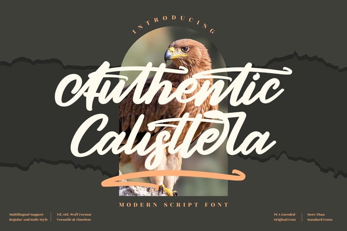 Authentic Calisttera Script Font