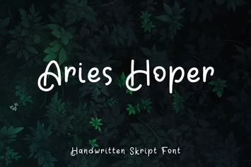 Aries Hoper - Script font