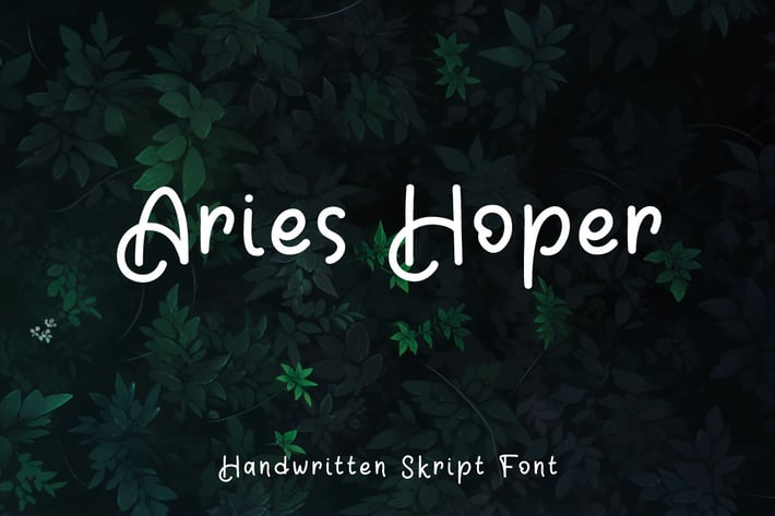 Aries Hoper - Script font