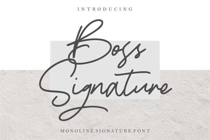 Boss Signature | Handwritten Font