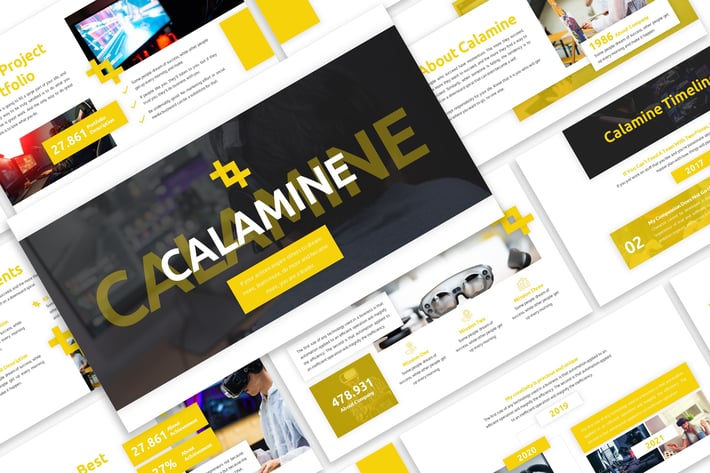Calamine - Business Template Prensentation