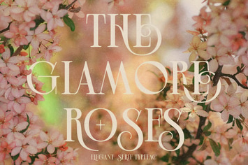 Glamore Roses