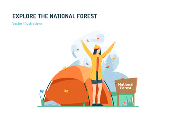 Explore The National Forest - Travel Illustration