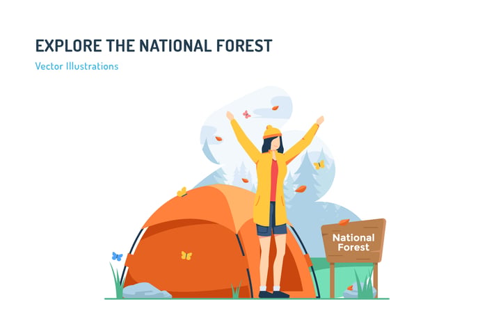 Explore The National Forest - Travel Illustration